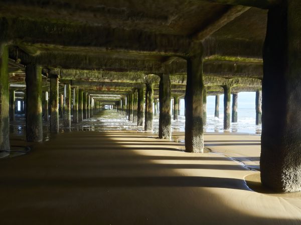 Pier And Beam Leveling in Wesley Chapel